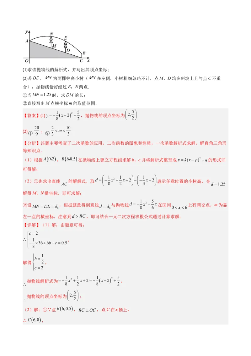 专题03实际问题与二次函数（专项训练）（教师版）_初中数学_九年级数学上册（人教版）_知识点汇总-U105_2026版