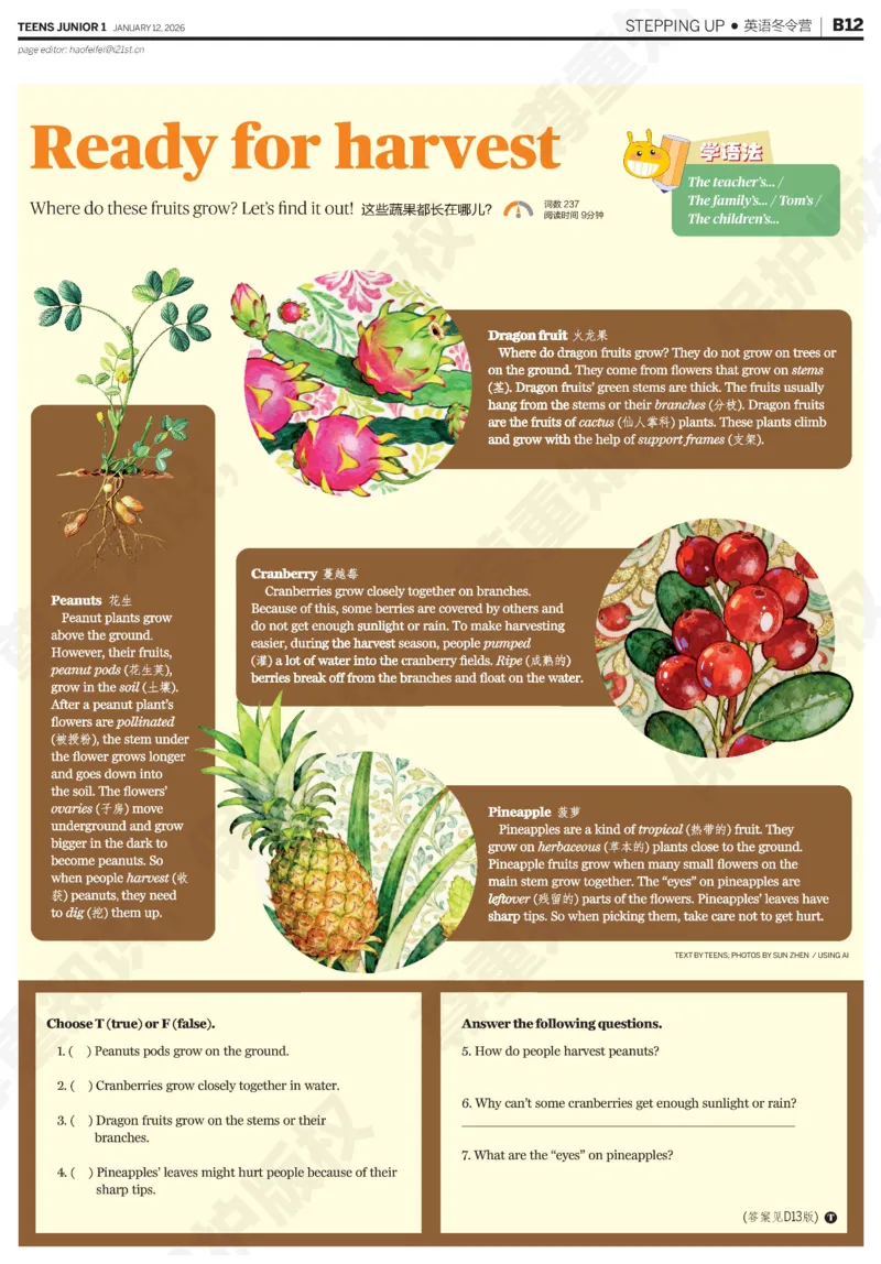 初一25-26学年21-25期寒假合刊_916(1)_新人教八下资料包_23多套教辅合集_88教辅合集_2026寒假合刊《21世纪学生英文报》