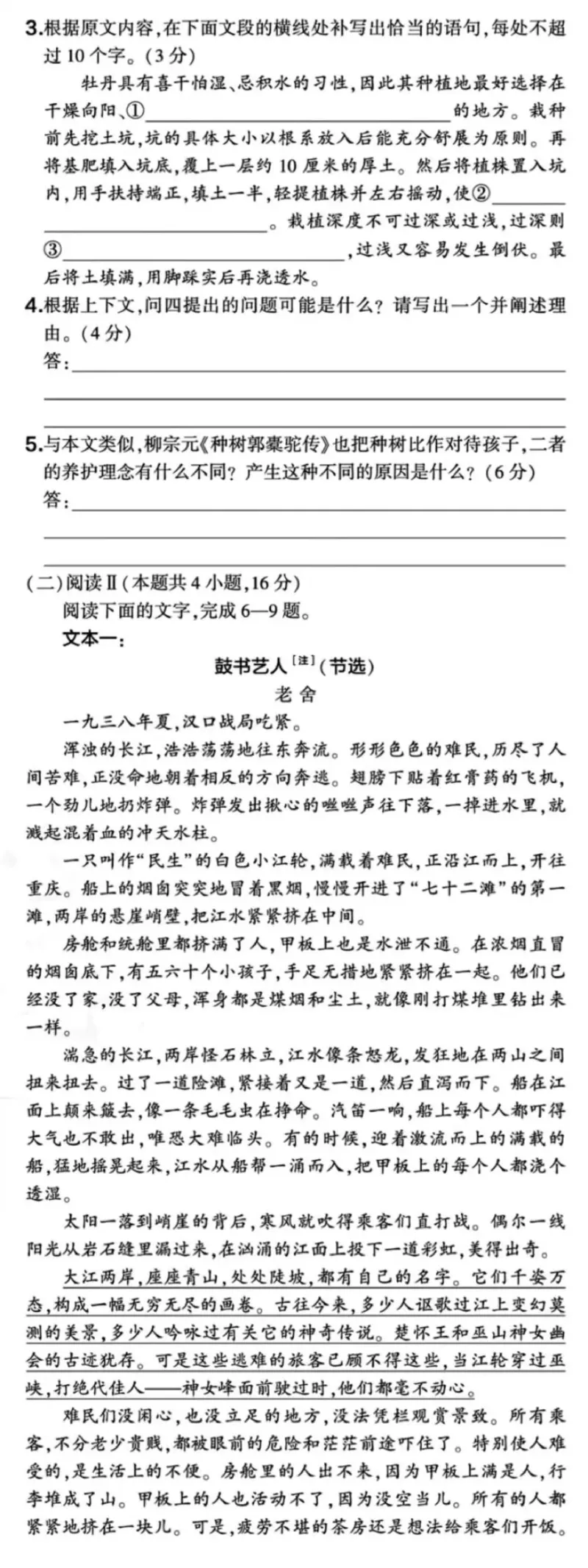 2025年高考语文全国一卷试题完整版_2025年全国各省市全科高考真题及答案_版本二（互相补充）_1、新课标全国Ⅰ卷（语数英，终版）_语文