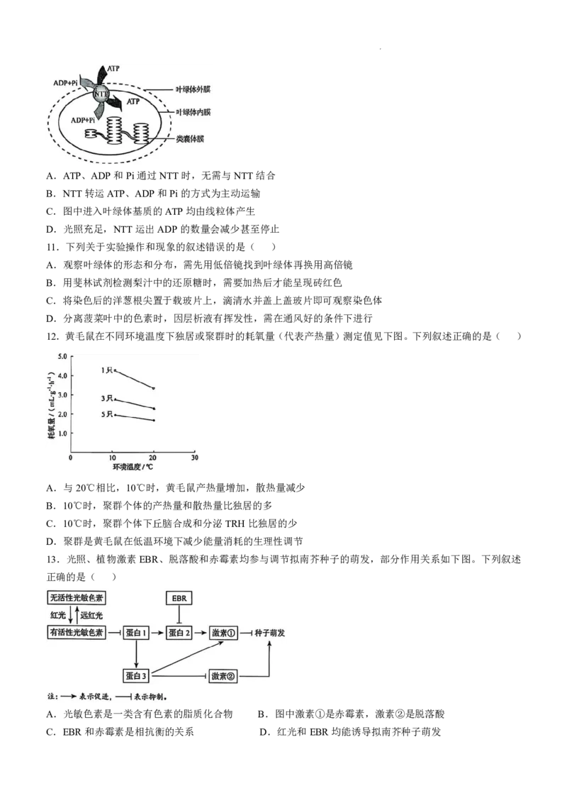 黑吉辽内生物_2025年全国各省市全科高考真题及答案_版本二（互相补充）_6、各省市全科真题及答案（按省份分类）_16、辽宁卷（全科，持续更新）_生物