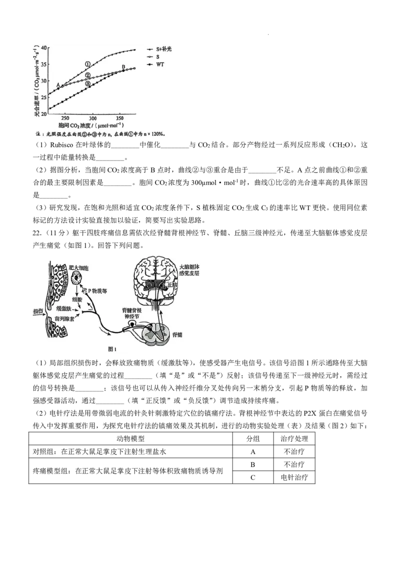 黑吉辽内生物_2025年全国各省市全科高考真题及答案_版本二（互相补充）_6、各省市全科真题及答案（按省份分类）_16、辽宁卷（全科，持续更新）_生物