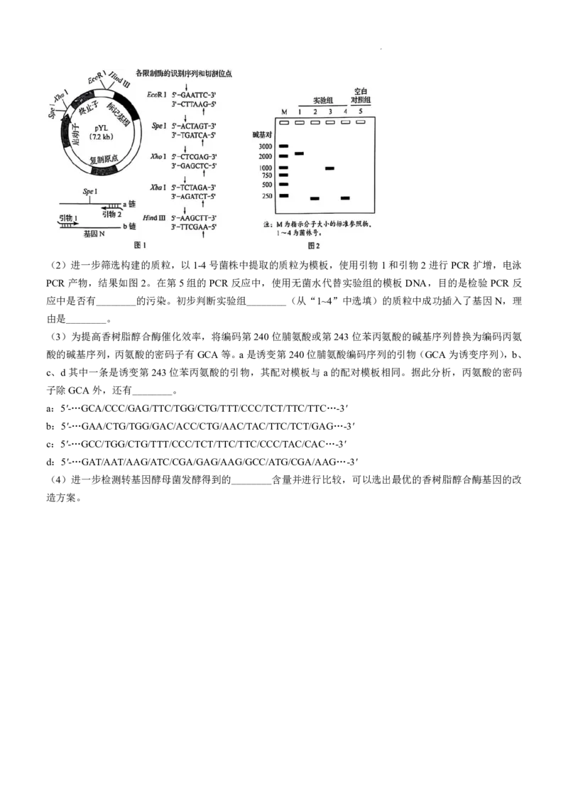 黑吉辽内生物_2025年全国各省市全科高考真题及答案_版本二（互相补充）_6、各省市全科真题及答案（按省份分类）_16、辽宁卷（全科，持续更新）_生物