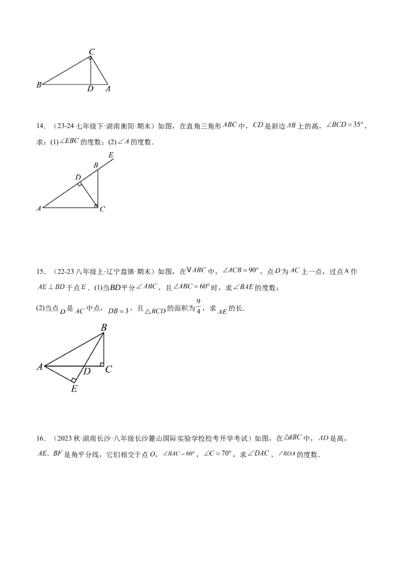 专题05三角形中的倒角模型之高分线模型、双（三）垂直模型解读与提分精练（人教版）（学生版）_初中数学_八年级数学上册（人教版）_常见几何模型全归纳-V13_2025版