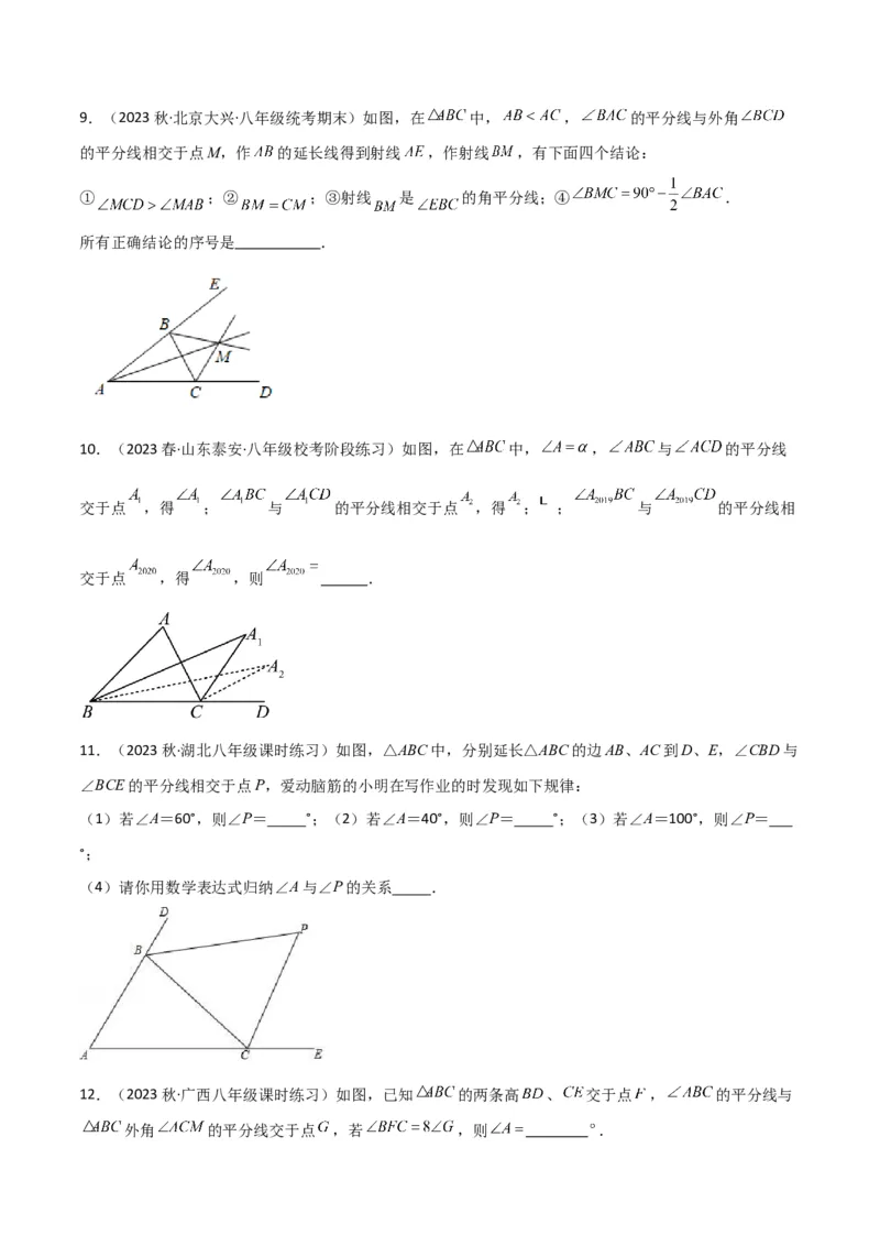 专题02三角形中的倒角模型之双角平分线模型解读与提分精练（人教版）（学生版）_初中数学_八年级数学上册（人教版）_常见几何模型全归纳-V13_2025版