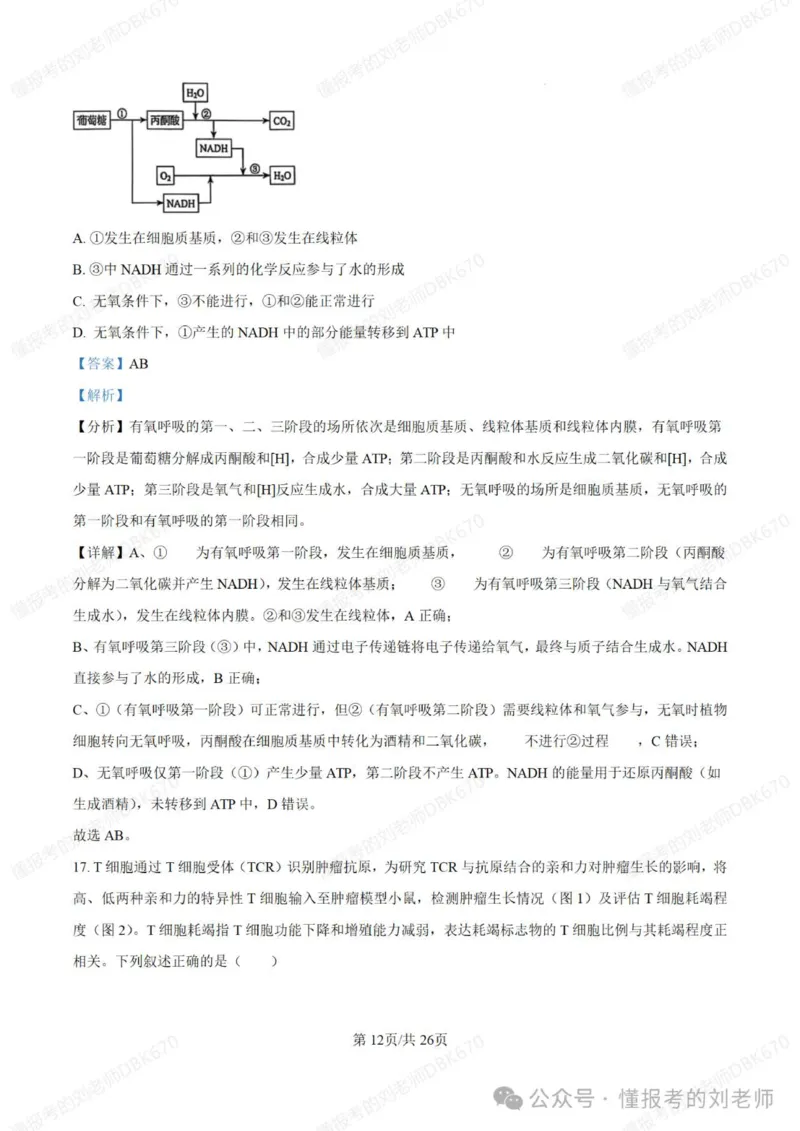 2025年高考生物答案详解（黑辽吉内）_2025年全国各省市全科高考真题及答案_版本二（互相补充）_6、各省市全科真题及答案（按省份分类）_16、辽宁卷（全科，持续更新）_生物