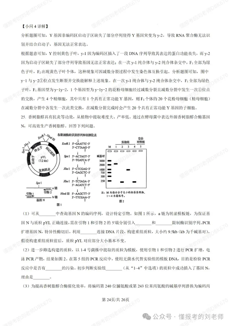 2025年高考生物答案详解（黑辽吉内）_2025年全国各省市全科高考真题及答案_版本二（互相补充）_6、各省市全科真题及答案（按省份分类）_16、辽宁卷（全科，持续更新）_生物