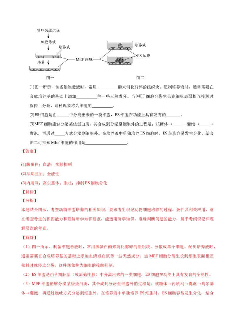 2.2动物细胞工程-高二生物课后培优分级练（人教版2019选择性必修3）（解析版）_高中九科知识点归纳。_人教版高中Word电子版试卷练习试题知识点全科_高中生物试卷习题_生物选修_选修3