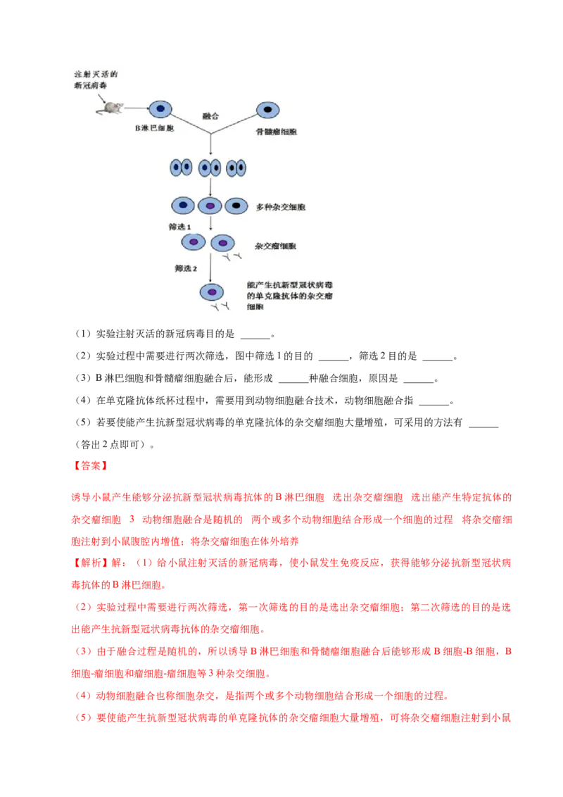 2.2动物细胞工程-高二生物课后培优分级练（人教版2019选择性必修3）（解析版）_高中九科知识点归纳。_人教版高中Word电子版试卷练习试题知识点全科_高中生物试卷习题_生物选修_选修3