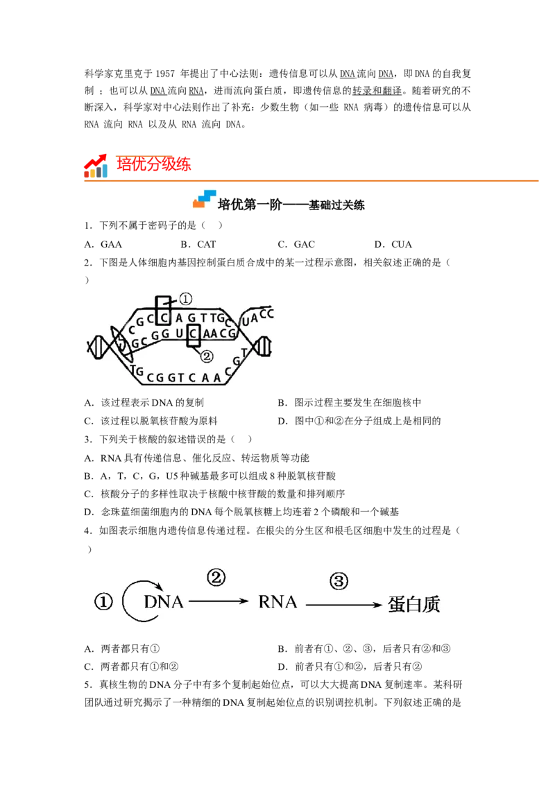 4.1基因指导蛋白质的合成（原卷版）_高中九科知识点归纳。_人教版高中Word电子版试卷练习试题知识点全科_高中生物试卷习题_生物必修_必修2_人教版生物必修二同步练习（057份）