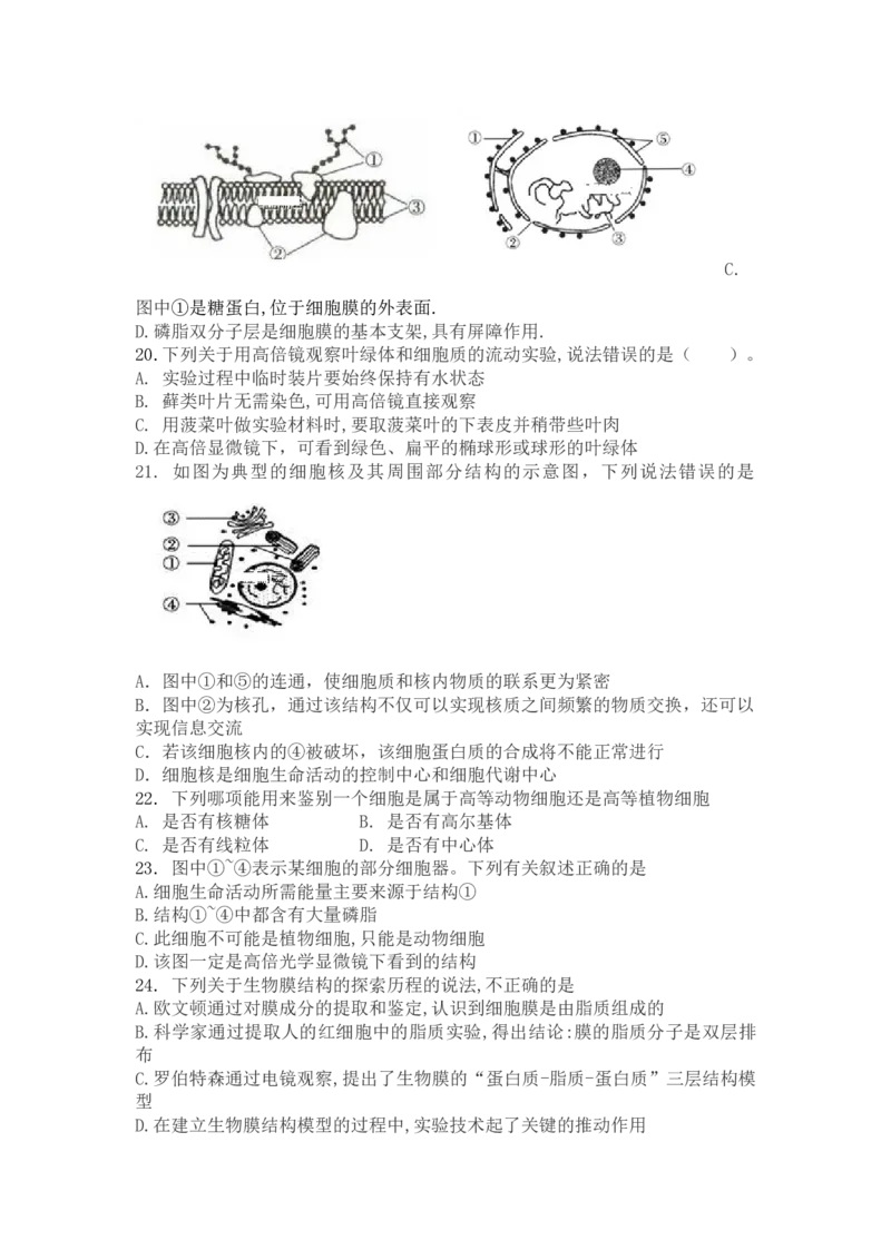 2022-2023年辽宁省六校协作体高一上学期期中考试生物试卷_高中九科知识点归纳。_人教版高中Word电子版试卷练习试题知识点全科_高中生物试卷习题_生物必修_必修1