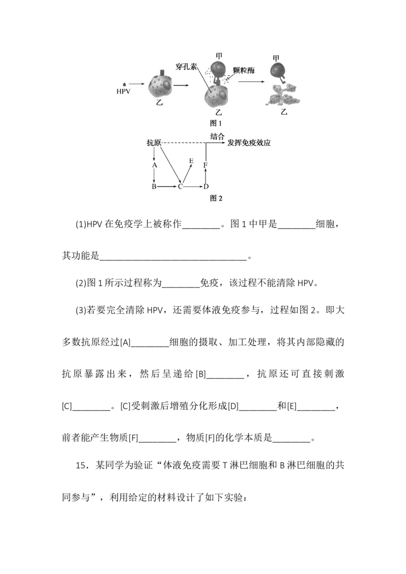 4.2特异性免疫同步练习高二上学期生物人教版选择性必修1_高中九科知识点归纳。_人教版高中Word电子版试卷练习试题知识点全科_高中生物试卷习题_生物选修_选修1_1.同步练习第一套