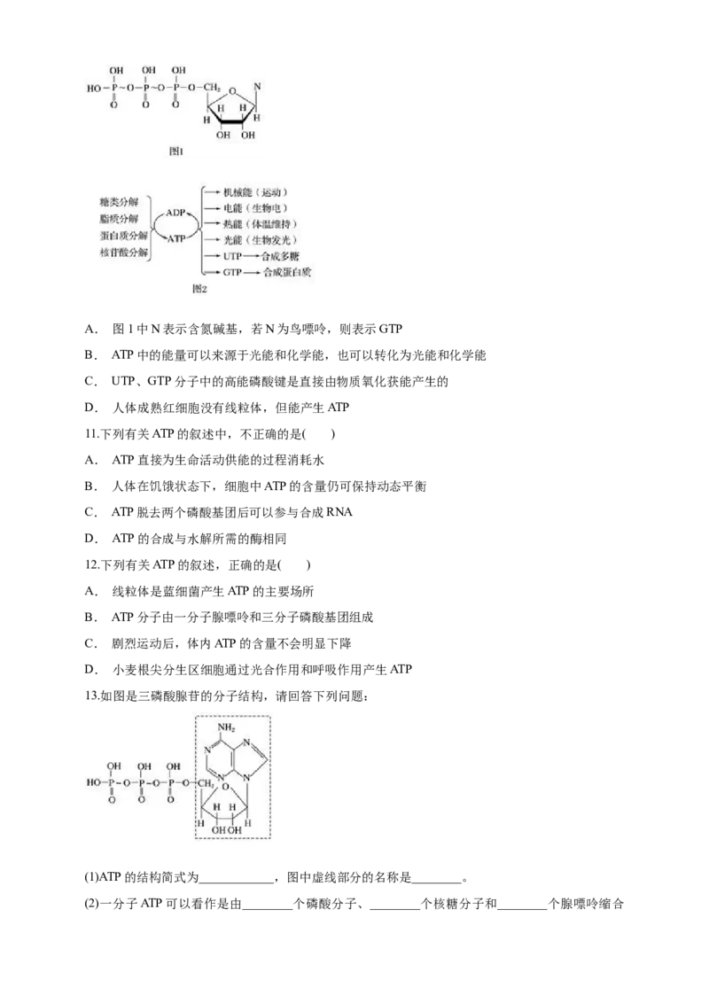 5.2细胞的能量&ldquo;通货&rdquo;ATP练习（1）（原卷版）_高中九科知识点归纳。_人教版高中Word电子版试卷练习试题知识点全科_高中生物试卷习题_生物必修_必修1_2.同步练习（第二套）24份