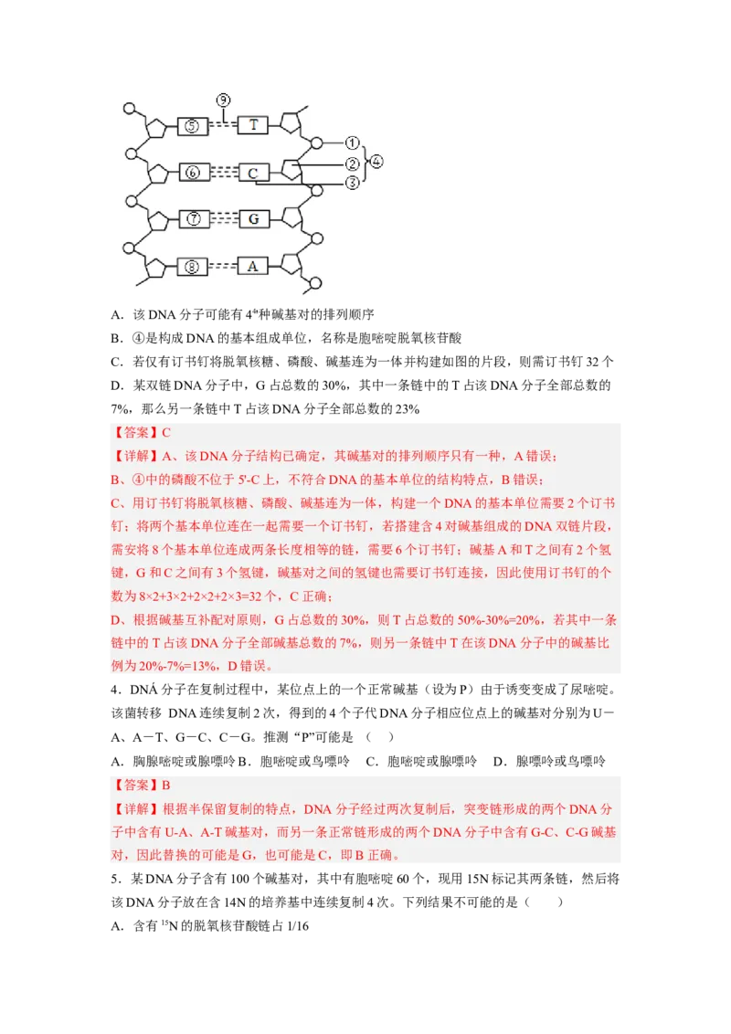 3.3DNA的复制（解析版）_高中九科知识点归纳。_人教版高中Word电子版试卷练习试题知识点全科_高中生物试卷习题_生物必修_必修2_人教版生物必修二同步练习（057份）_2、课后培优练