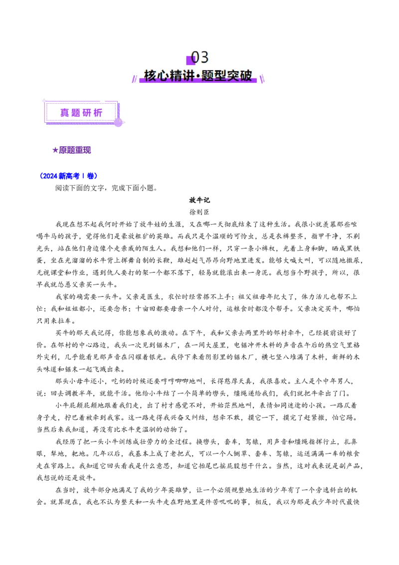 专题10文本理解题（讲义）（解析版）_01高考语文_52025年新高考资料_二轮复习_01高考语文等多个文件_上好课2025年高考语文二轮复习讲练测（新高考通用）