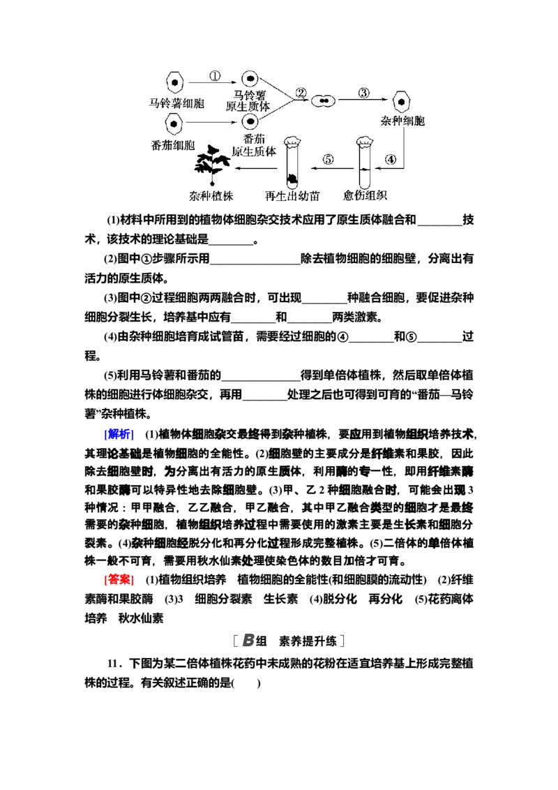 5植物细胞工程的基本技术课后作业新教材人教版（2019）高中生物选择性必修3_高中九科知识点归纳。_人教版高中Word电子版试卷练习试题知识点全科_高中生物试卷习题_生物选修_选修3