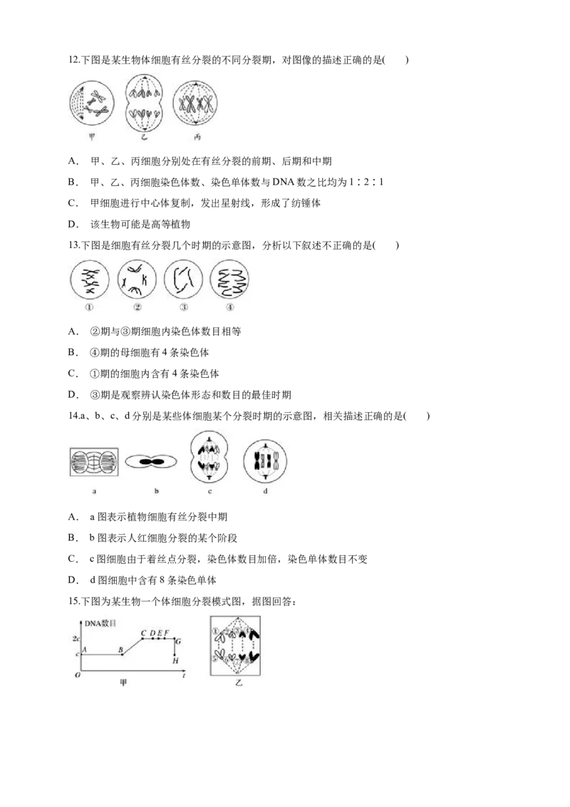 6.1.2细胞增殖练习（1）（原卷版）_高中九科知识点归纳。_人教版高中Word电子版试卷练习试题知识点全科_高中生物试卷习题_生物必修_必修1_人教版生物必修一同步练习（070份）