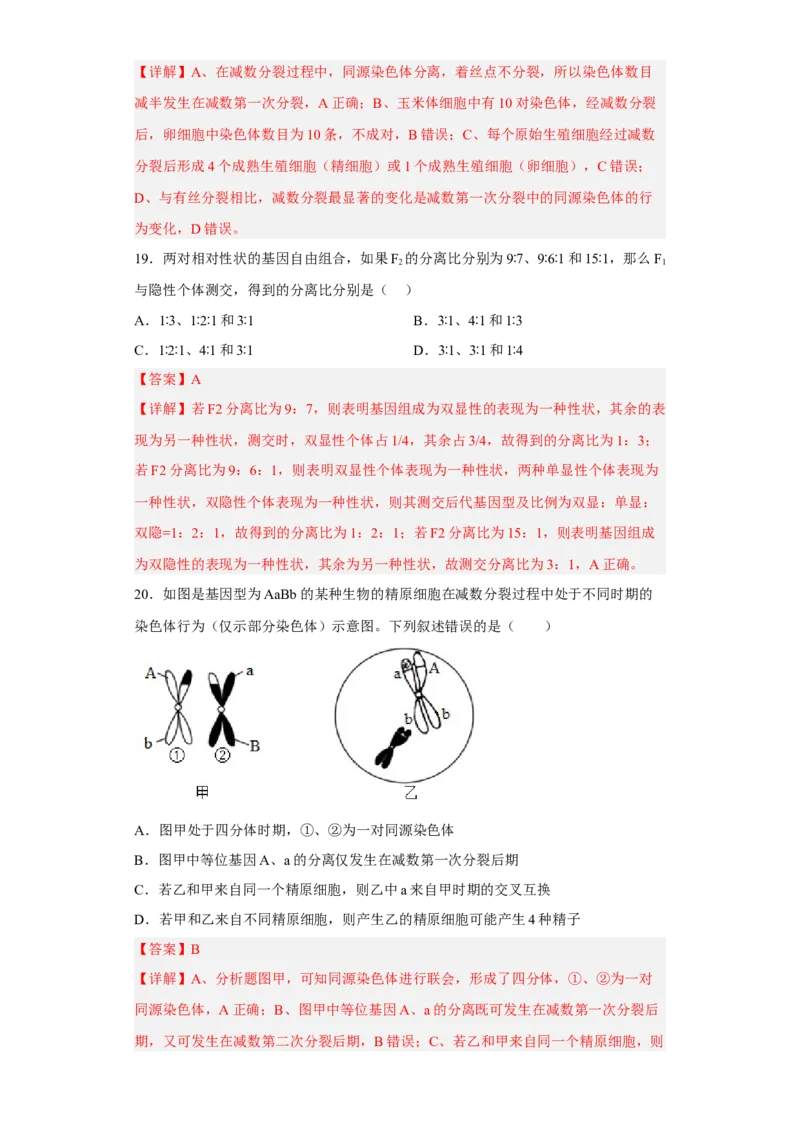 3月份检测卷01（基础练）（解析版）_高中九科知识点归纳。_人教版高中Word电子版试卷练习试题知识点全科_高中生物试卷习题_生物必修_必修2_人教版生物必修二同步练习（057份）