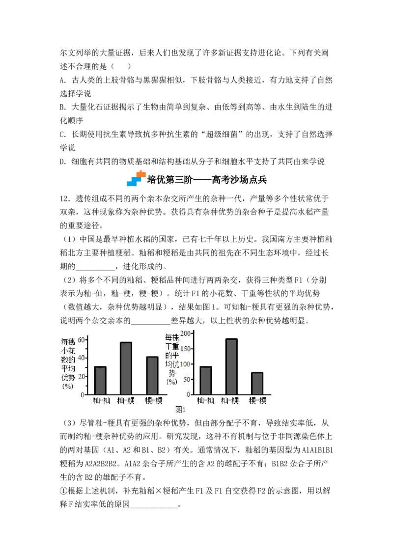 6.2自然选择与适应的形成（原卷版）_高中九科知识点归纳。_人教版高中Word电子版试卷练习试题知识点全科_高中生物试卷习题_生物必修_必修2_人教版生物必修二同步练习（057份）