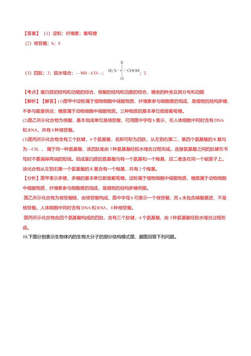 2.5核酸是遗传信息的携带者-高一生物课后培优练（人教版2019必修1）（解析版）_高中九科知识点归纳。_人教版高中Word电子版试卷练习试题知识点全科_高中生物试卷习题_生物必修_必修1