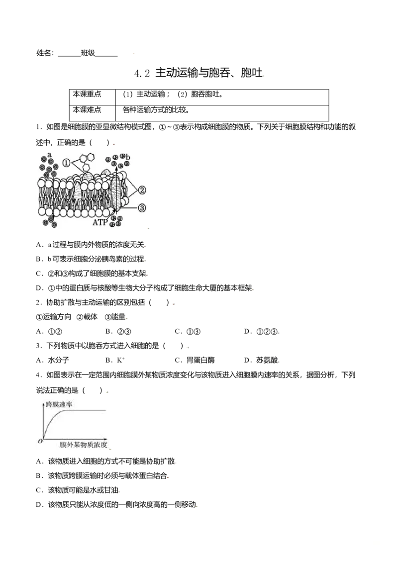 4.2主动运输与胞吞、胞吐-高一生物课后培优练（人教版2019必修1）（原卷版）_高中九科知识点归纳。_人教版高中Word电子版试卷练习试题知识点全科_高中生物试卷习题_生物必修_必修1