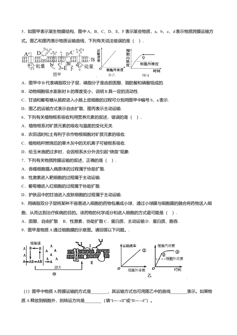 4.2主动运输与胞吞、胞吐-高一生物课后培优练（人教版2019必修1）（原卷版）_高中九科知识点归纳。_人教版高中Word电子版试卷练习试题知识点全科_高中生物试卷习题_生物必修_必修1