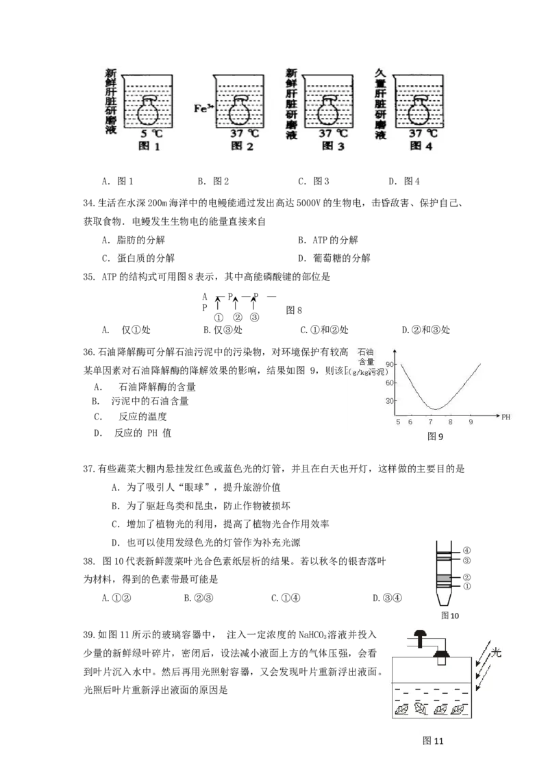 上海市普通中学三校联考高一上学期期中考试生物试题_高中九科知识点归纳。_人教版高中Word电子版试卷练习试题知识点全科_高中生物试卷习题_生物必修_必修1