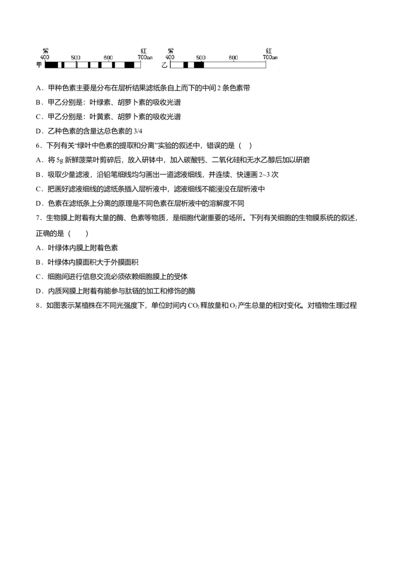 5.4光合作用与能量转化-高一生物课后培优练（人教版2019必修1）（原卷版）_高中九科知识点归纳。_人教版高中Word电子版试卷练习试题知识点全科_高中生物试卷习题_生物必修_必修1