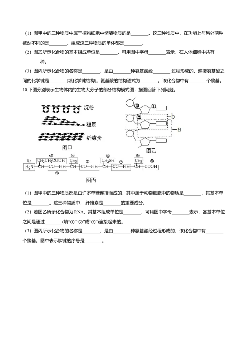 2.5核酸是遗传信息的携带者-高一生物课后培优练（人教版2019必修1）（原卷版）_高中九科知识点归纳。_人教版高中Word电子版试卷练习试题知识点全科_高中生物试卷习题_生物必修_必修1