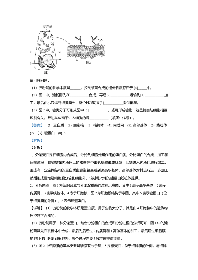 北京市丰台区高一上学期期中考试生物（B卷）试题Word版含解析_高中九科知识点归纳。_人教版高中Word电子版试卷练习试题知识点全科_高中生物试卷习题_生物必修_必修1