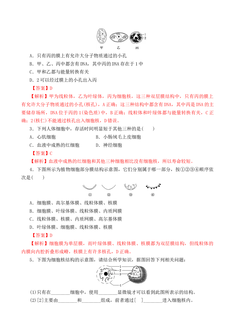3.3细胞核的结构和功能-高一生物上学期课后培优分级练（2019人教版必修1）（解析版）_高中九科知识点归纳。_人教版高中Word电子版试卷练习试题知识点全科_高中生物试卷习题_生物必修