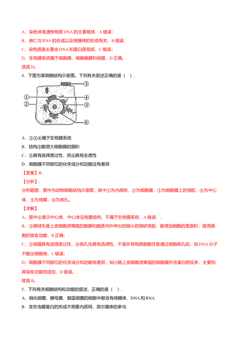 3.3细胞核的结构和功能-高一生物课后培优练（人教版2019必修1）（解析版）_高中九科知识点归纳。_人教版高中Word电子版试卷练习试题知识点全科_高中生物试卷习题_生物必修_必修1