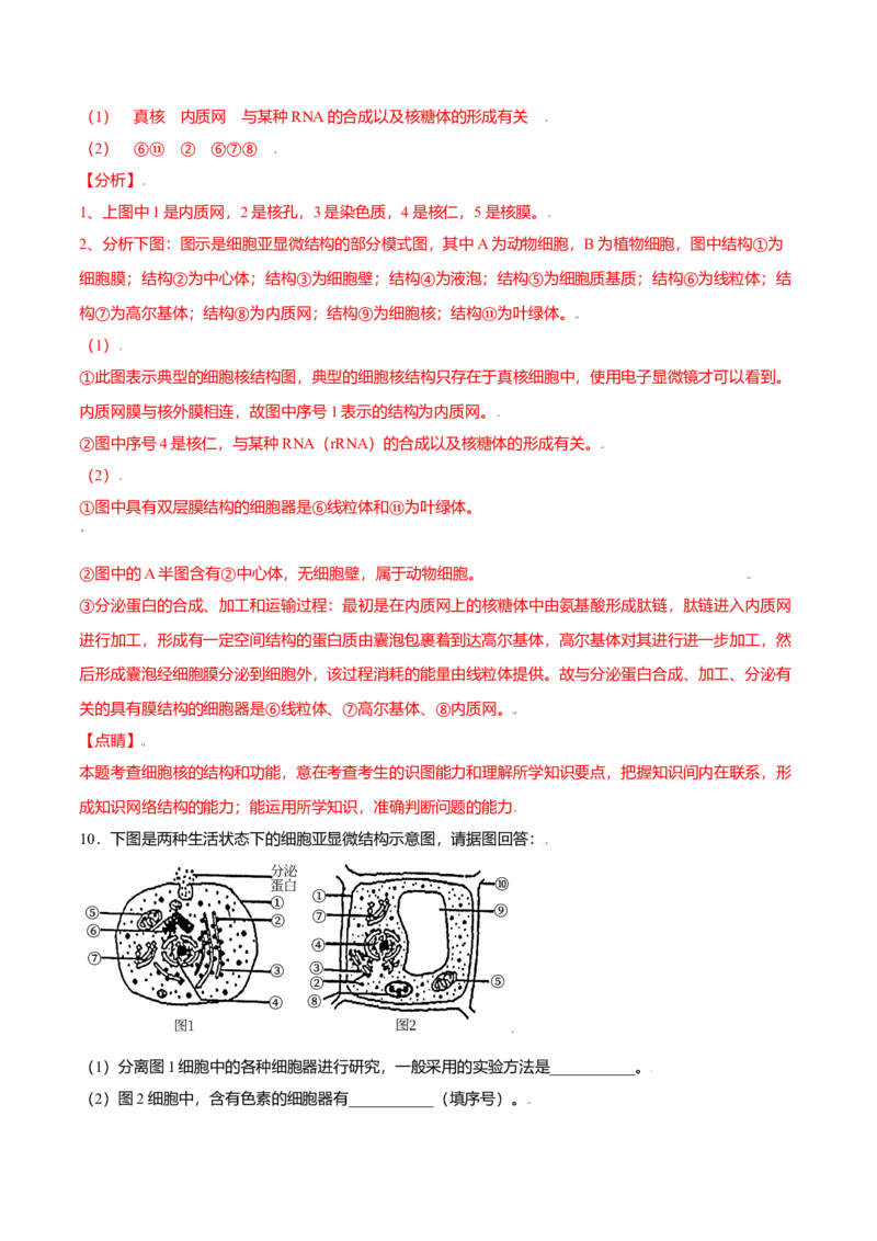 3.3细胞核的结构和功能-高一生物课后培优练（人教版2019必修1）（解析版）_高中九科知识点归纳。_人教版高中Word电子版试卷练习试题知识点全科_高中生物试卷习题_生物必修_必修1