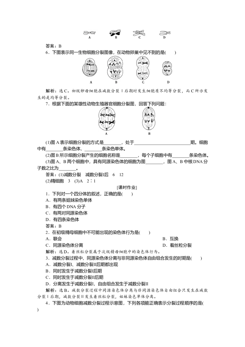 《第1节减数分裂和受精作用》课时练习04_高中九科知识点归纳。_人教版高中Word电子版试卷练习试题知识点全科_高中生物试卷习题_生物必修_必修2_人教版生物必修二单元测试（012份）
