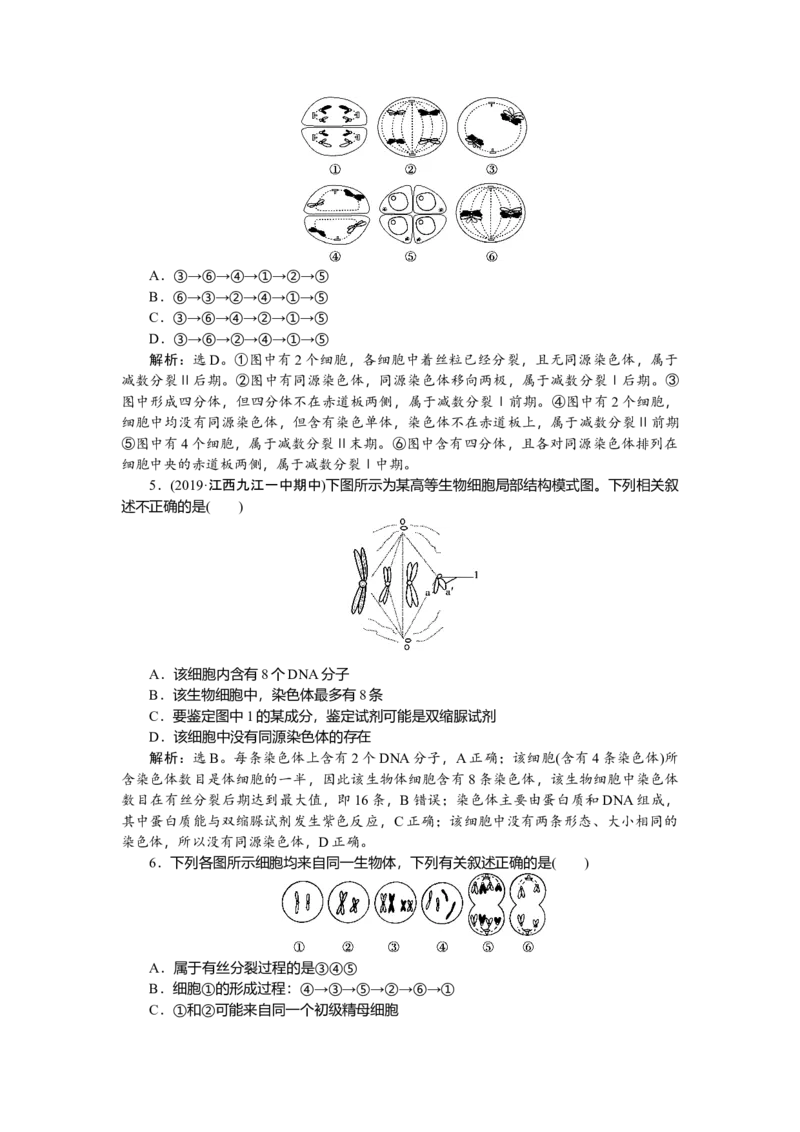 《第1节减数分裂和受精作用》课时练习04_高中九科知识点归纳。_人教版高中Word电子版试卷练习试题知识点全科_高中生物试卷习题_生物必修_必修2_人教版生物必修二单元测试（012份）