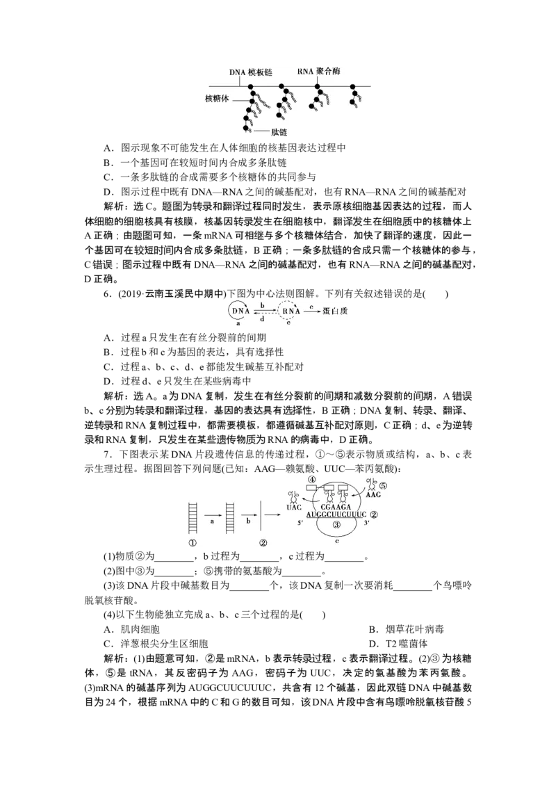 《第1节基因指导蛋白质的合成》随堂达标检测_高中九科知识点归纳。_人教版高中Word电子版试卷练习试题知识点全科_高中生物试卷习题_生物必修_必修2_1、单元测试_第4章基因的表达