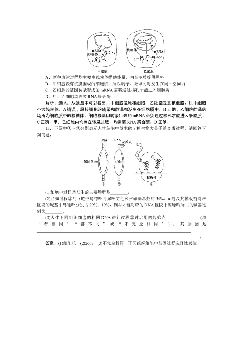 《第1节基因指导蛋白质的合成》随堂达标检测_高中九科知识点归纳。_人教版高中Word电子版试卷练习试题知识点全科_高中生物试卷习题_生物必修_必修2_1、单元测试_第4章基因的表达