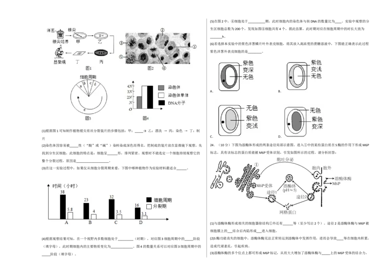 2022-2023学年高一生物上学期期末考前必刷卷03（人教版2019）（考试版）_高中九科知识点归纳。_人教版高中Word电子版试卷练习试题知识点全科_高中生物试卷习题_生物必修_必修1_1.模拟题