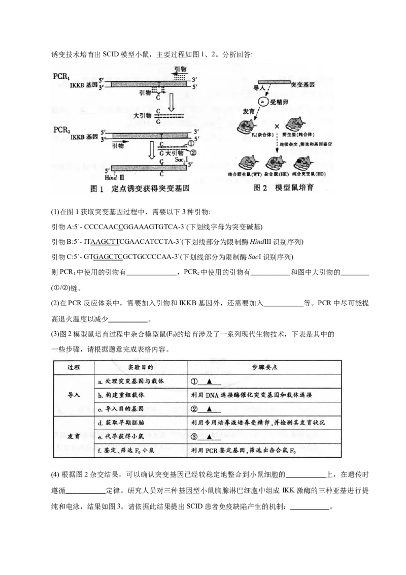 3.2基因工程的基本操作程序-高二生物课后培优分级练（人教版2019选择性必修3）（原卷版）_高中九科知识点归纳。_人教版高中Word电子版试卷练习试题知识点全科_高中生物试卷习题_选修3