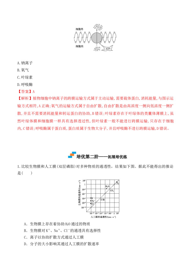 4.2主动运输与胞吞、胞吐-高一生物上学期课后培优分级练（2019人教版必修1）（解析版）_高中九科知识点归纳。_人教版高中Word电子版试卷练习试题知识点全科_高中生物试卷习题_必修1