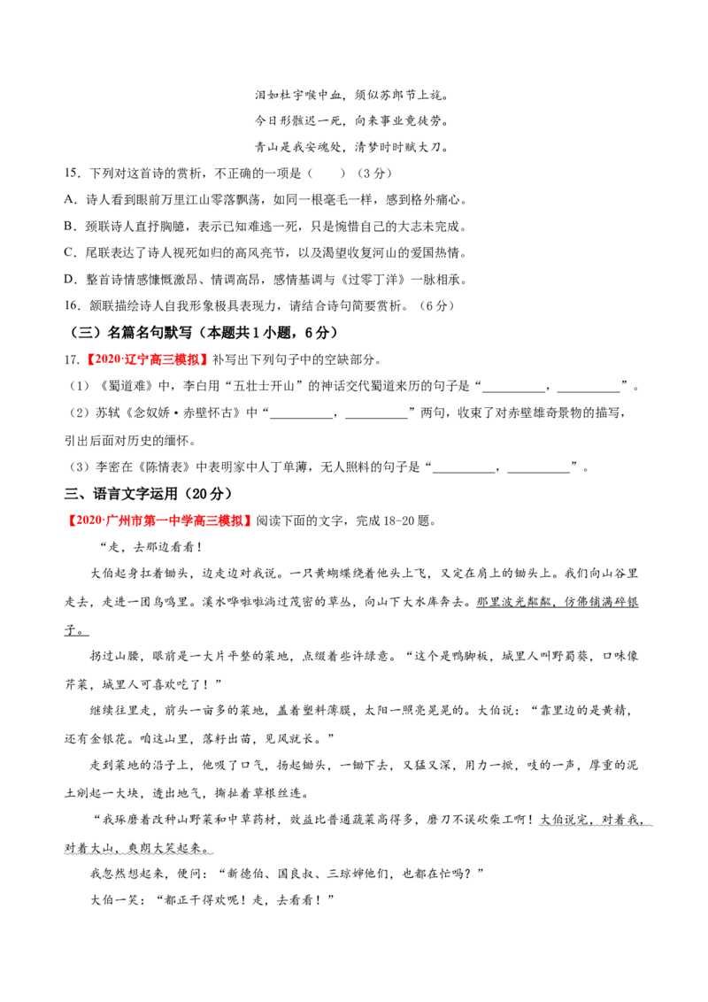 卷5备战2021年高考语文名校地市好题必刷全真模拟卷（新高考版）&bull;1月卷（原卷版）_01高考语文_12021年新高考资料