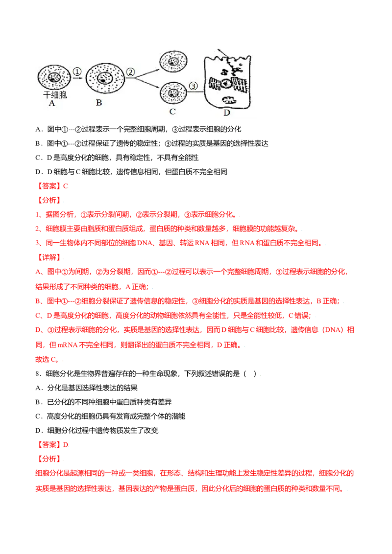 6.2细胞的分化-高一生物课后培优练（人教版2019必修1）（解析版）_高中九科知识点归纳。_人教版高中Word电子版试卷练习试题知识点全科_高中生物试卷习题_生物必修_必修1