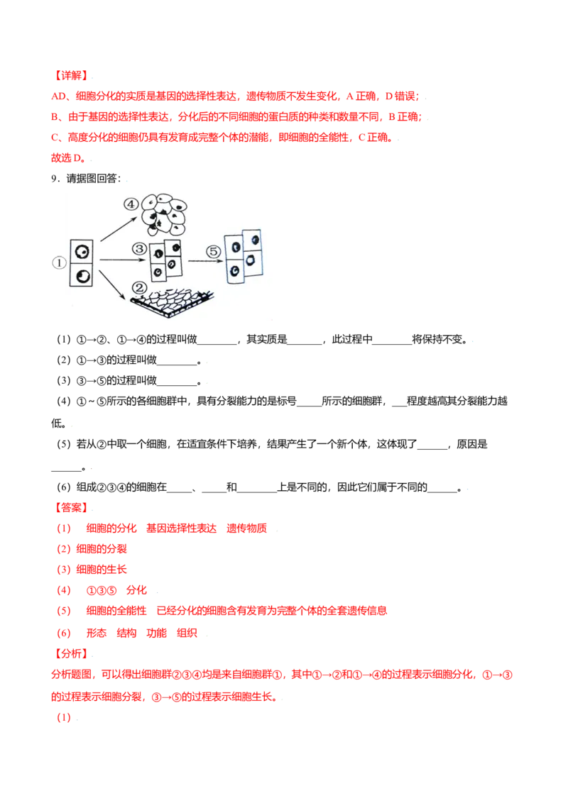 6.2细胞的分化-高一生物课后培优练（人教版2019必修1）（解析版）_高中九科知识点归纳。_人教版高中Word电子版试卷练习试题知识点全科_高中生物试卷习题_生物必修_必修1