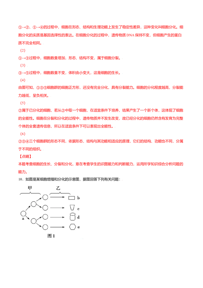 6.2细胞的分化-高一生物课后培优练（人教版2019必修1）（解析版）_高中九科知识点归纳。_人教版高中Word电子版试卷练习试题知识点全科_高中生物试卷习题_生物必修_必修1