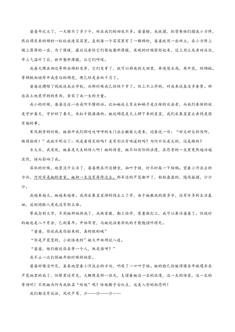 专题11小说的反套路题型（练习）-2024年高考语文二轮复习讲练测（新教材新高考）(原卷版)_01高考语文_新高考复习资料_2024年新高考资料_二轮复习资料_配套练习