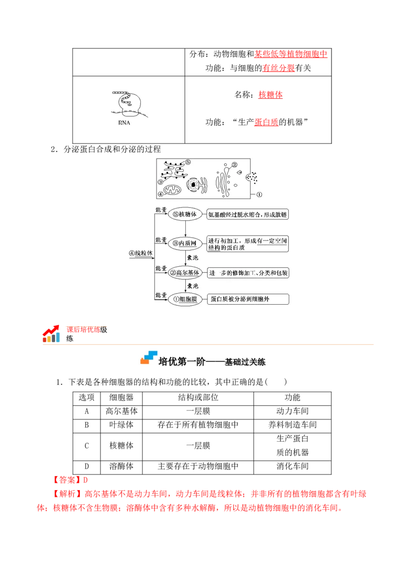 3.2细胞器之间的分工合作-高一生物上学期课后培优分级练（2019人教版必修1）（解析版）_高中九科知识点归纳。_人教版高中Word电子版试卷练习试题知识点全科_高中生物试卷习题_必修1