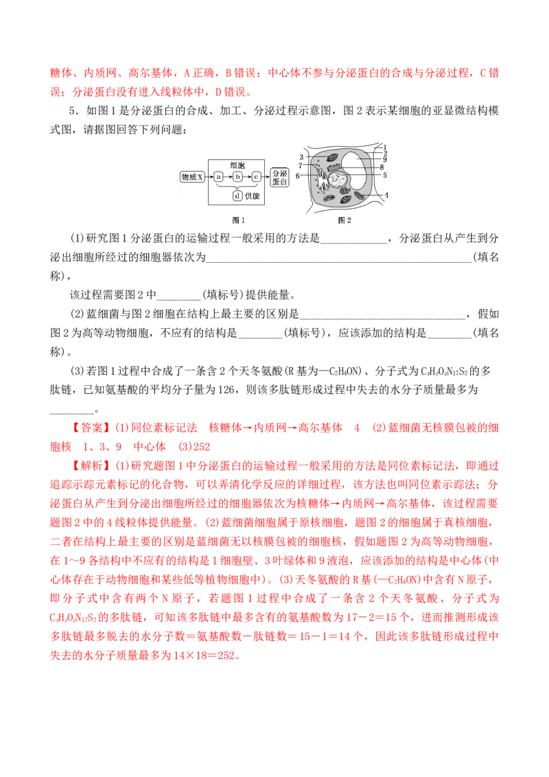 3.2细胞器之间的分工合作-高一生物上学期课后培优分级练（2019人教版必修1）（解析版）_高中九科知识点归纳。_人教版高中Word电子版试卷练习试题知识点全科_高中生物试卷习题_必修1
