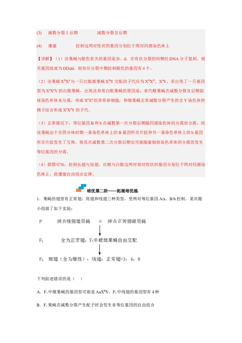 2.3伴性遗传（解析版）_高中九科知识点归纳。_人教版高中Word电子版试卷练习试题知识点全科_高中生物试卷习题_生物必修_必修2_人教版生物必修二同步练习（057份）_2、课后培优练
