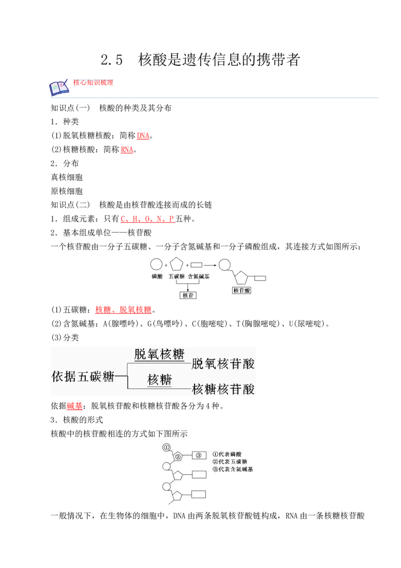 2.5核酸是遗传信息的携带者-高一生物上学期课后培优分级练（2019人教版必修1）（解析版）_高中九科知识点归纳。_人教版高中Word电子版试卷练习试题知识点全科_高中生物试卷习题_必修1