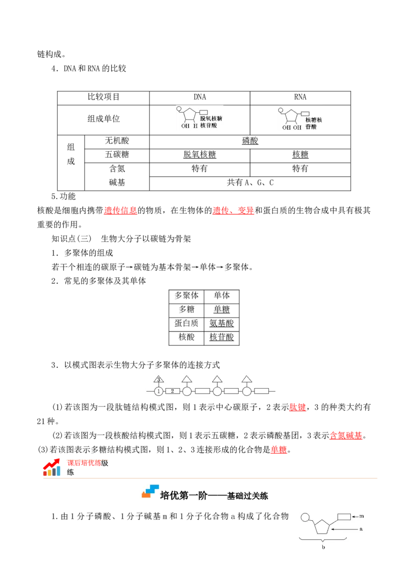 2.5核酸是遗传信息的携带者-高一生物上学期课后培优分级练（2019人教版必修1）（解析版）_高中九科知识点归纳。_人教版高中Word电子版试卷练习试题知识点全科_高中生物试卷习题_必修1