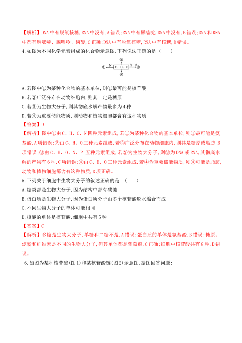 2.5核酸是遗传信息的携带者-高一生物上学期课后培优分级练（2019人教版必修1）（解析版）_高中九科知识点归纳。_人教版高中Word电子版试卷练习试题知识点全科_高中生物试卷习题_必修1